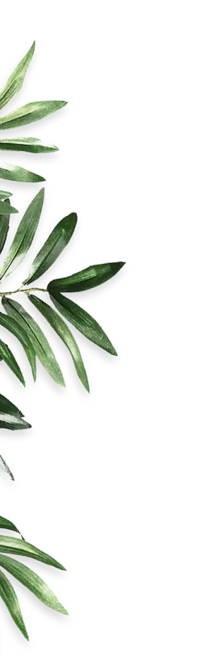 Deco Leaf